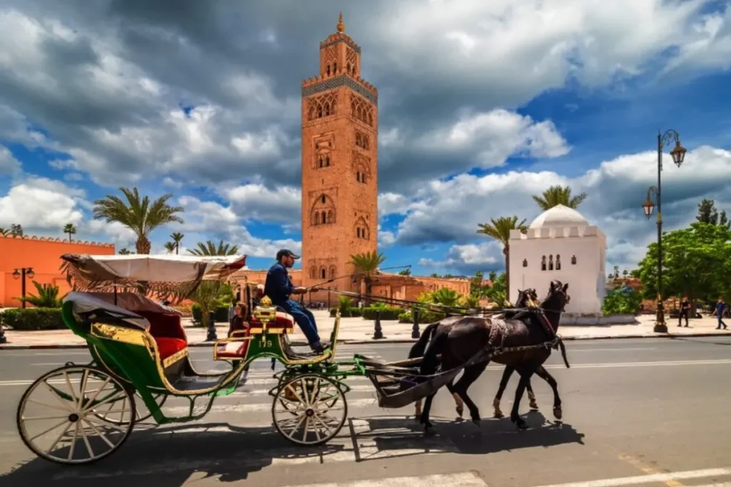 مملكة المغرب مملكة المغرب